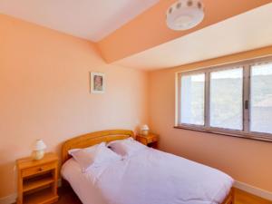 Maisons de vacances Spacious Holiday Home near Auvergne s Volcanoes : photos des chambres