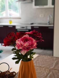 Apartmani "Sandro" Gonar