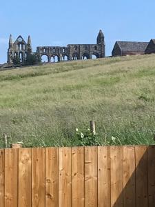 Abbey Field - Cyanacottages