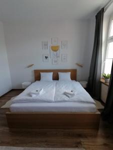 Apartament KurOrt Gaja