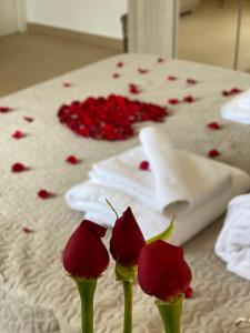 Caserta Royale Apartment