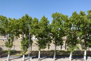 Hotels ibis Avignon Centre Pont De L'Europe : photos des chambres