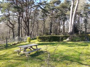 Campings Camping les falaises de Toussaint : photos des chambres