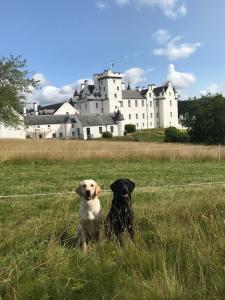 Blairchroisk Cottage