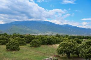 Hotel Geromichalos Olympos Greece