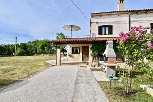 Beautiful Istrian house with big backyard - Stranići