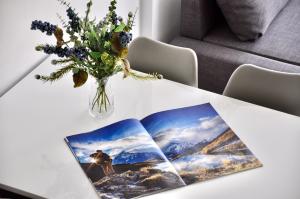 Full of light central apartment overlooking Jungfrau mountain