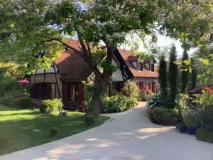 Toute Une Histoire près de Fontainebleau - Épisy