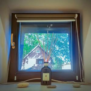 Comfy Rest apartments in Juodkrantė