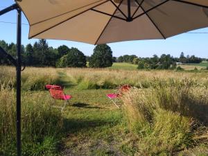 Les Gîtes du Château de Passillé