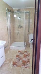 Pensiunea Todorica Sergiu