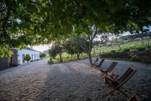 Morgadio da Calcada Douro Wine&Tourism