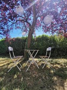 B&B / Chambres d'hotes Quatre Chats sous un Pin : photos des chambres
