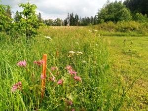 Chata Jedľoviny Martin