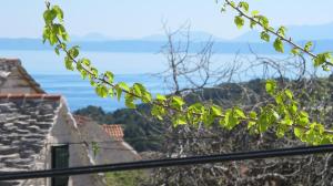 One-Bedroom Apartment with Terrace and Sea View room in Apartments with a parking space Selca Brac - 18230