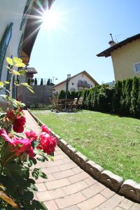 Villa Noce 1 - apartment with garden
