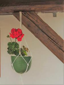 Borbély Vendégház