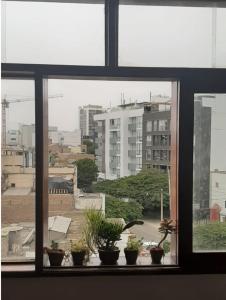 My Last Resort - Study