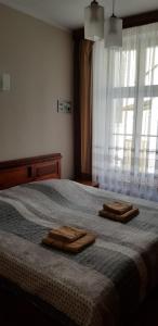 Hotelik City
