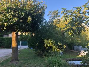 Maisons d'hotes La Saonette : photos des chambres