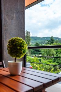 Park Apartment Emilin