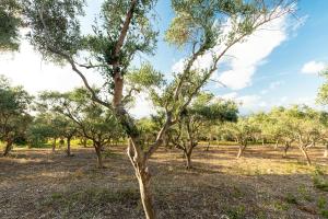 Solemar Sicilia - Le Casette Di Calzata