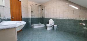 Vila Vasile