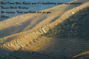 Capim Dourado Apartments Cedofeita