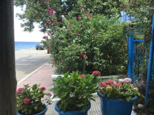 Villa Maria Nisos-Samothraki Greece