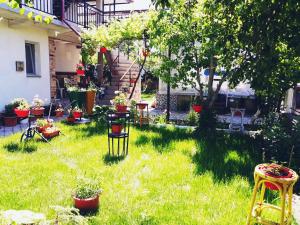 Casa Razvan Vama Veche