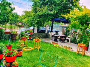 Casa Razvan Vama Veche