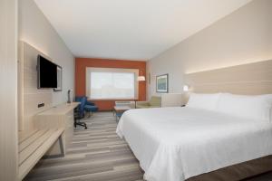 King Suite - Non-Smoking room in Holiday Inn Express & Suites - Denver NE - Brighton an IHG Hotel