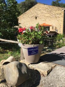 B&B / Chambres d'hotes Le Mas aux Aromes : photos des chambres