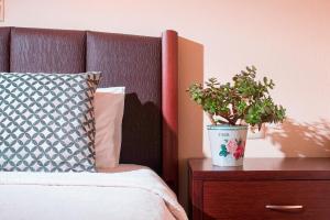 Family Studio room in Elekon Apartments