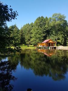 Chalets Insolite Chalet de peche Serenite - Bien Etre : Chalet 2 Chambres