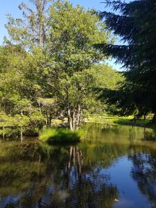 Chalets Insolite Chalet de peche Serenite - Bien Etre : photos des chambres