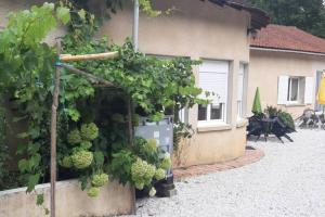 Maisons de vacances Gite au coeur de la nature avec ses animaux : photos des chambres