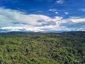 Iyok Ami (Madre Tierra)