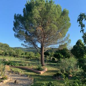 Chambre dhôtes Le Cèdre