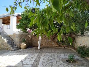 Liknon Guesthouse Villa Parnassos Greece