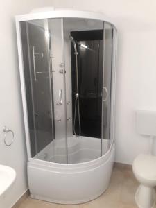 pensiunea delta ideal