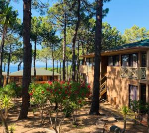 Appart'hotels Residence Les Pins : photos des chambres