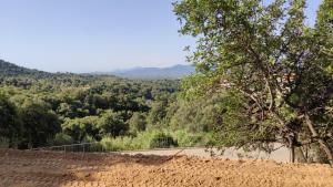 Sa Dommu 'e su coro img98