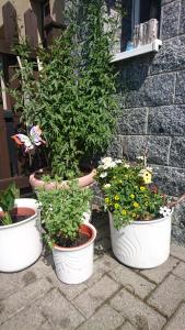 Ferienwohnung mit Garten und Spielplatz