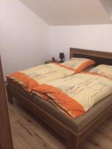 Double Room with Shared Shower and Toilet room in Pension Lefebvre