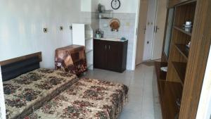Ruse Apartment Top Center Veronika