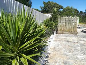 Pro Touristic Montejunto Villas