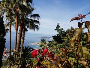 Maisons d'hotes Olguita : photos des chambres