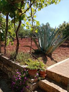 Il Trullo E Il Fortino