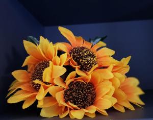 Appartamenti a Gallipoli